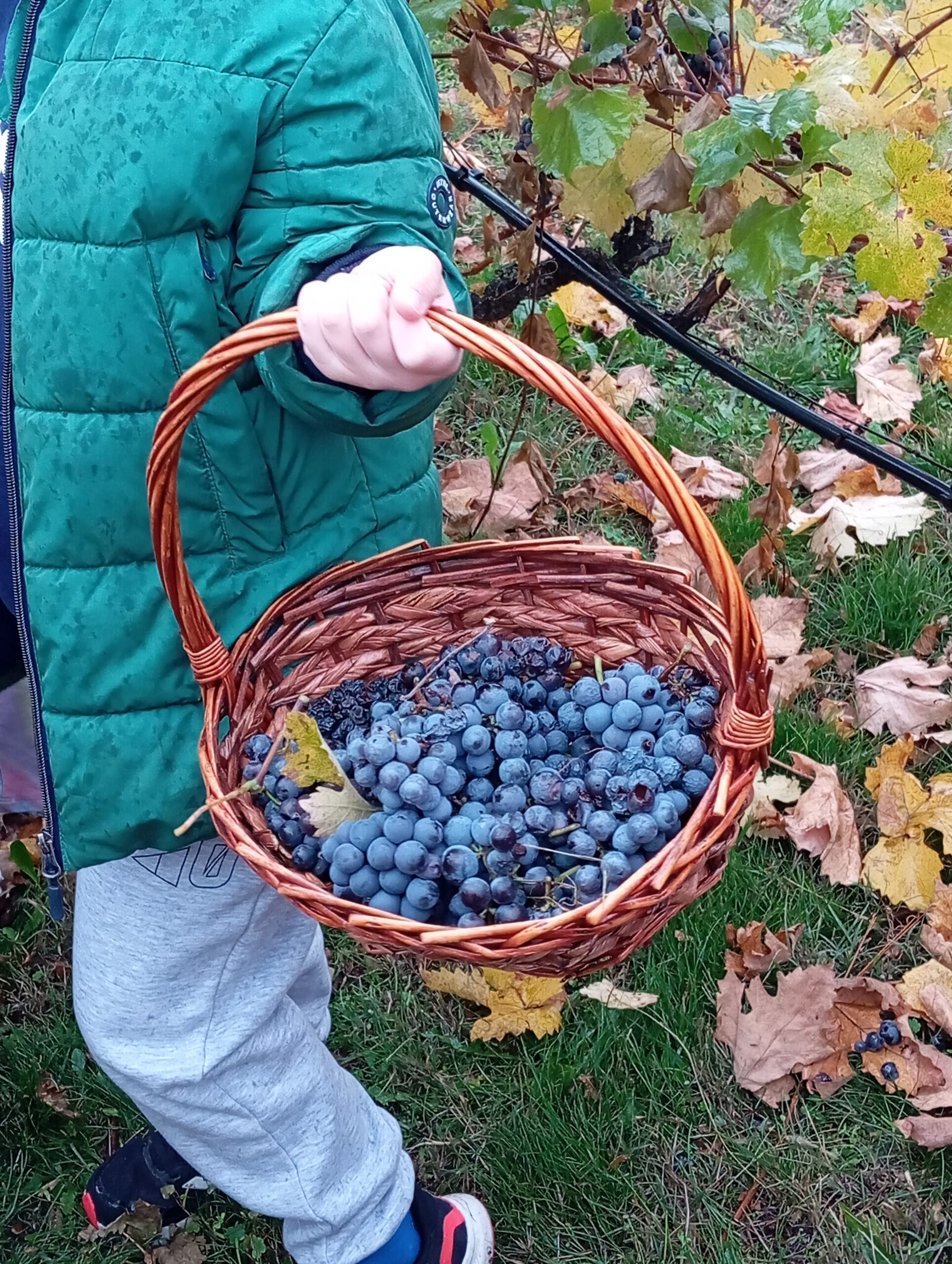 6 Dimotiko Sths Asep Amyntaioy (1)