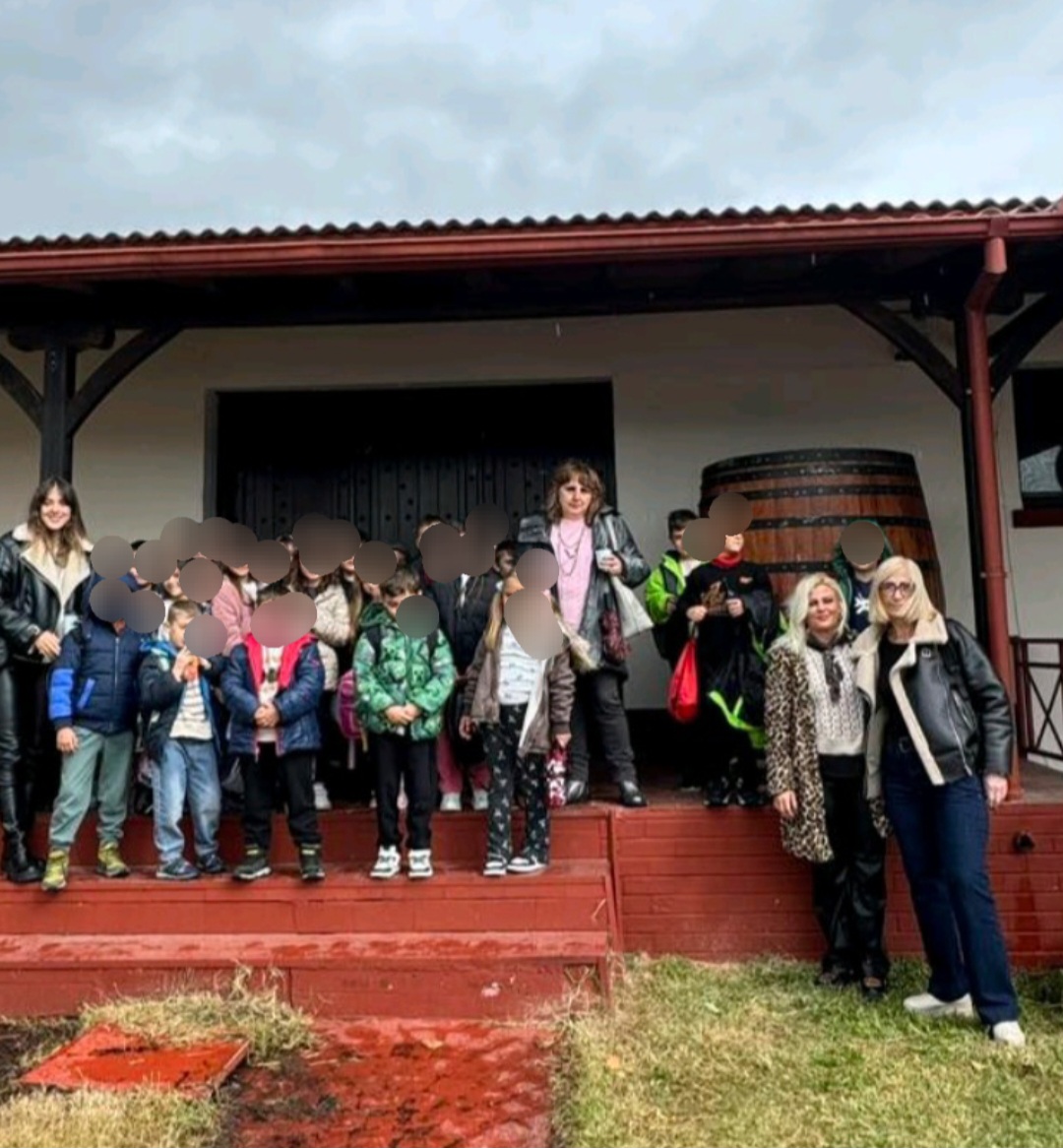 6 Dimotiko Sths Asep Amyntaioy (5)