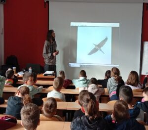 Εικόνα άρθρου