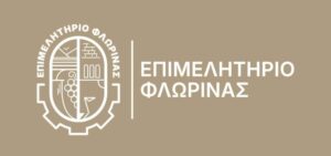 Εικόνα άρθρου