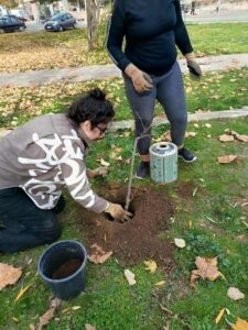 Εικόνα άρθρου