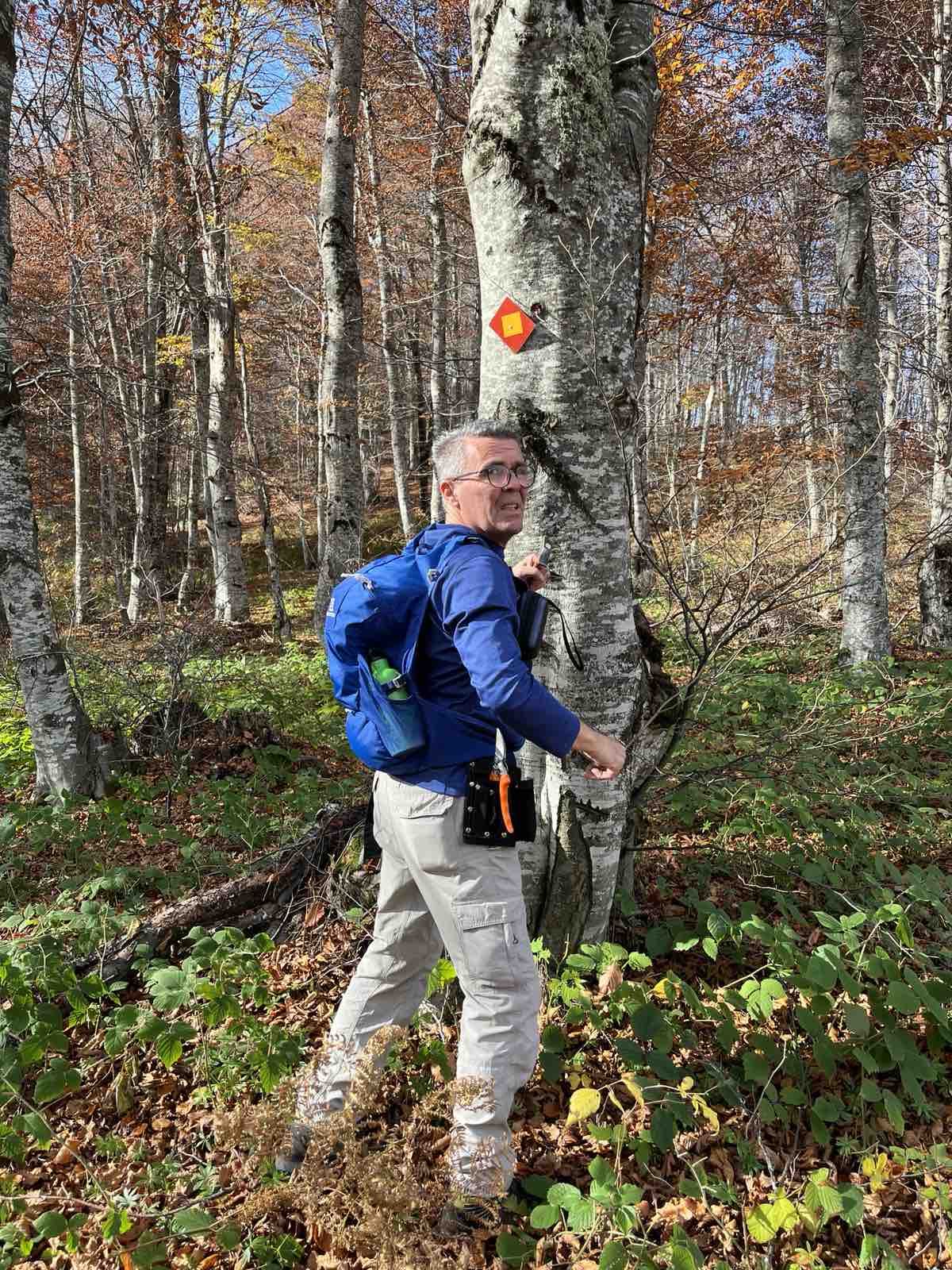 Foof Monopatia 112025 2