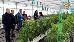 Εικόνα άρθρου