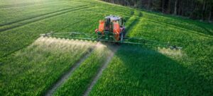 Εικόνα άρθρου