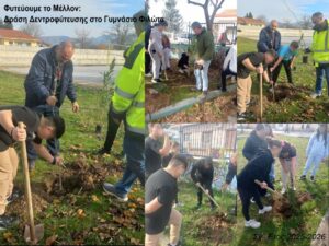 Εικόνα άρθρου