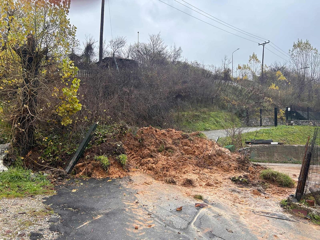 Florina Plimirika Fainomena 1222025 (11)