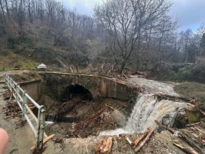 Εικόνα άρθρου