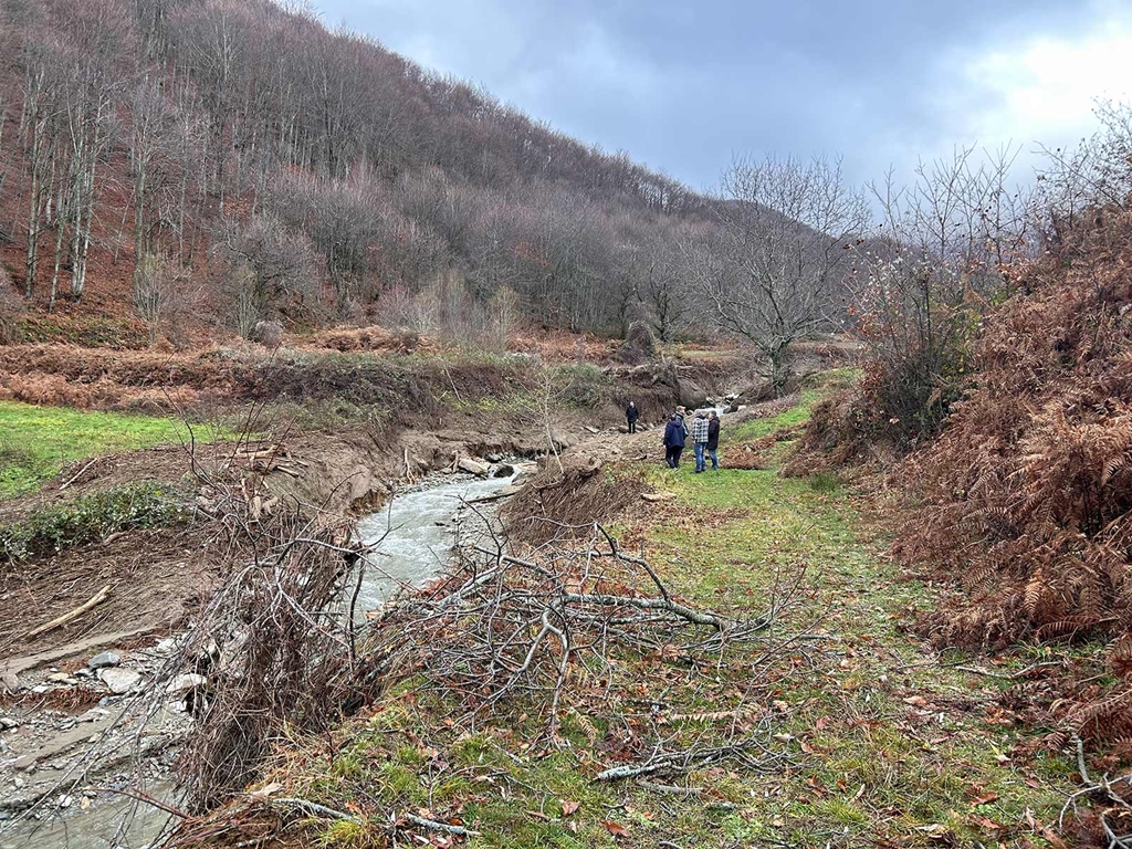 Florina Plimirika Fainomena 1222025 (16)