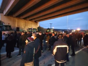 Εικόνα άρθρου