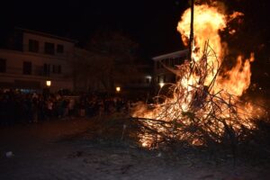 Εικόνα άρθρου