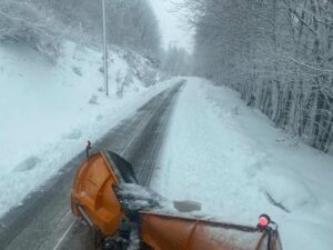 Εικόνα άρθρου