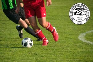 Εικόνα άρθρου