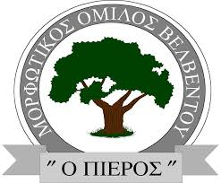 Εικόνα άρθρου