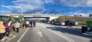 Εικόνα άρθρου