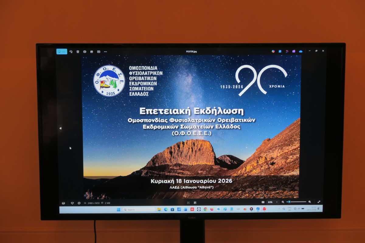 Ofoese Vasilopita 2026 (6) (custom)