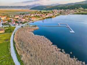 Εικόνα άρθρου