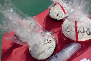 Εικόνα άρθρου