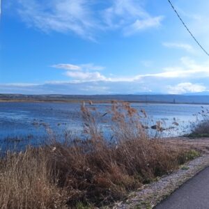 Εικόνα άρθρου