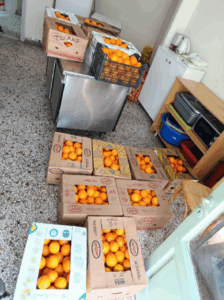 Εικόνα άρθρου