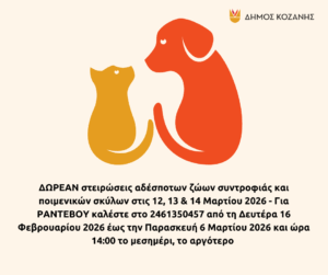 Εικόνα άρθρου