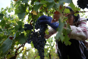 Εικόνα άρθρου