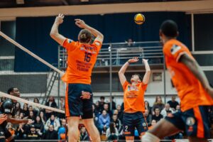 Εικόνα άρθρου