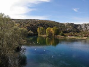 Εικόνα άρθρου