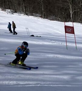 Εικόνα άρθρου