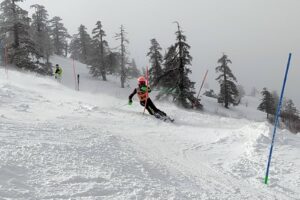 Εικόνα άρθρου