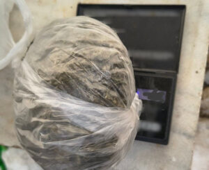 Εικόνα άρθρου