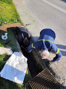 Εικόνα άρθρου