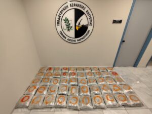 Εικόνα άρθρου