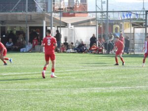 Εικόνα άρθρου