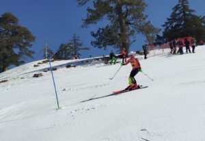 Εικόνα άρθρου