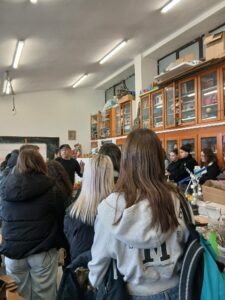 Εικόνα άρθρου