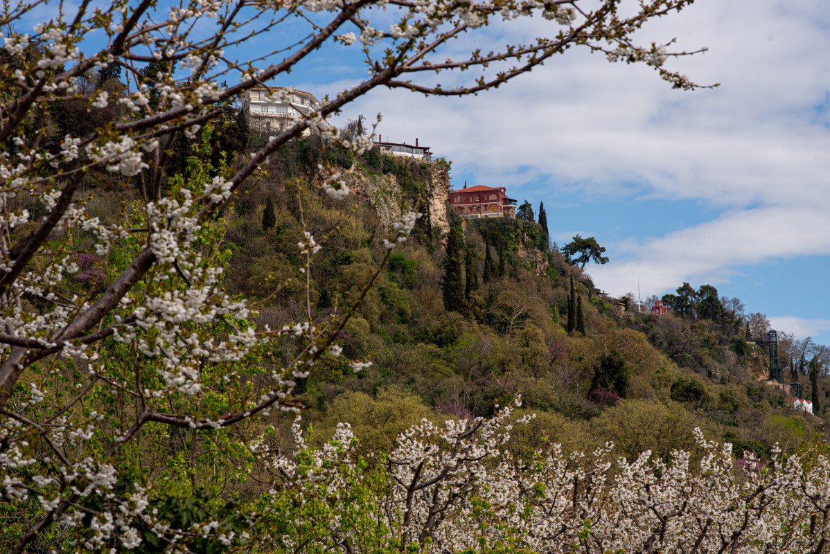 Εικόνα άρθρου
