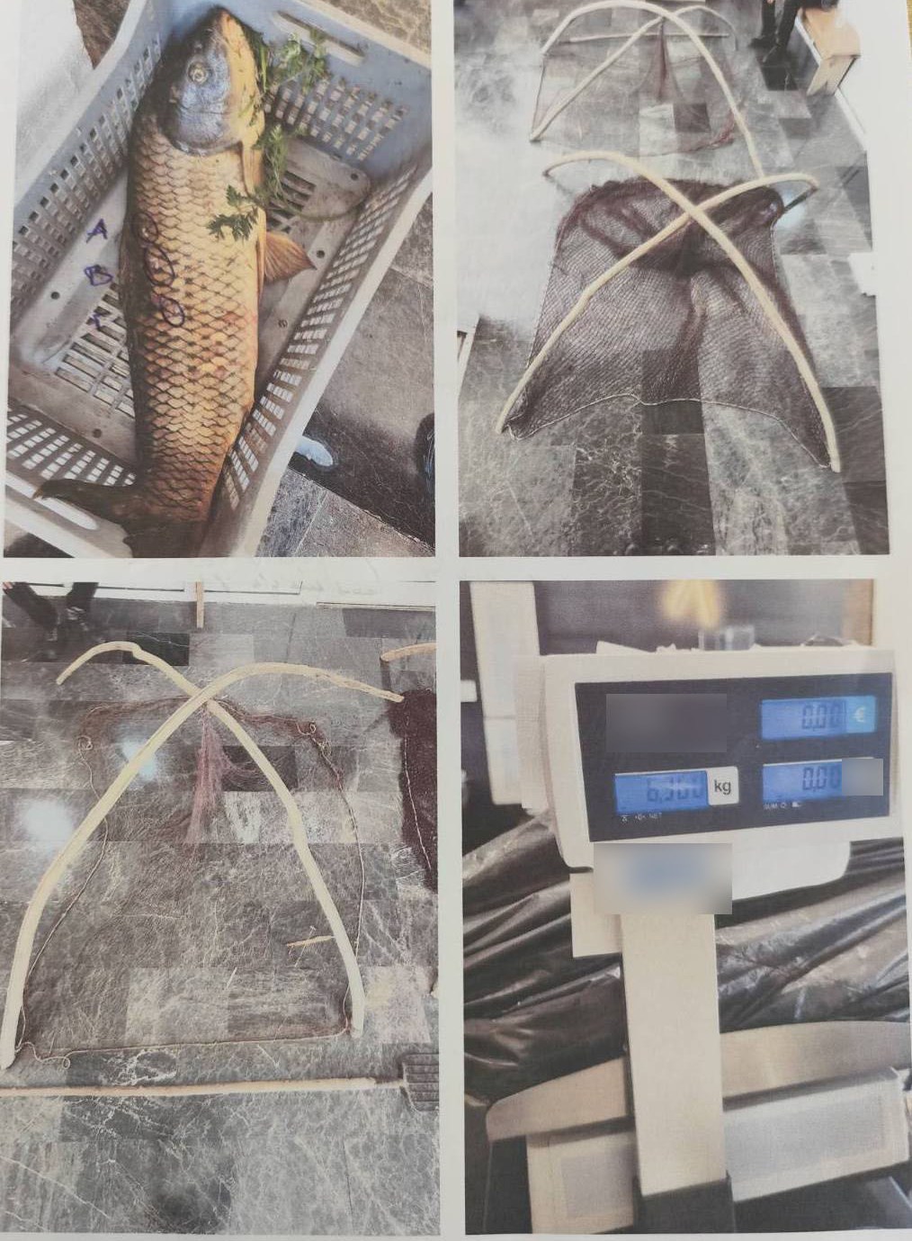 Εικόνα άρθρου