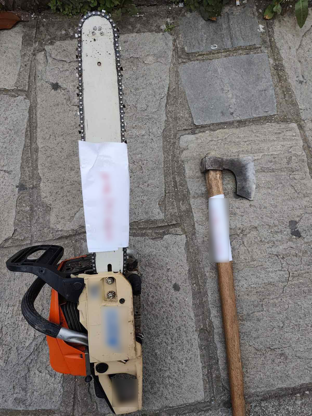 Εικόνα άρθρου