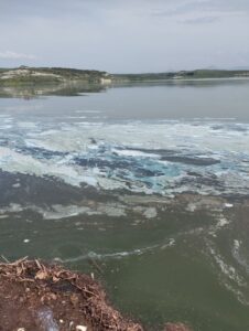 Εικόνα άρθρου