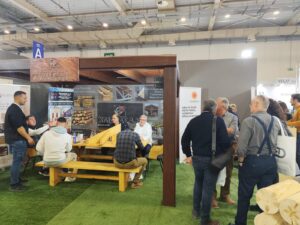 Εικόνα άρθρου