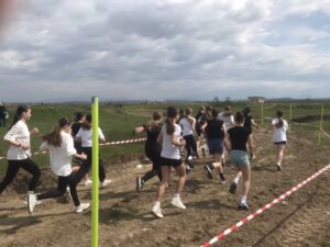 Εικόνα άρθρου