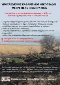 Εικόνα άρθρου