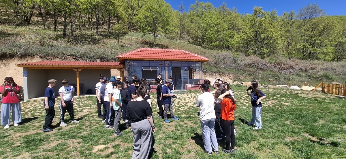 Εικόνα άρθρου