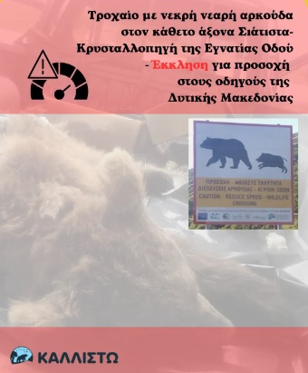 Εικόνα άρθρου