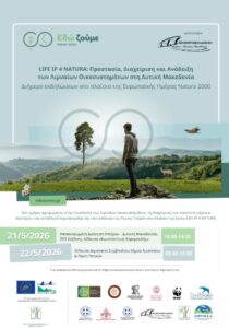 Εικόνα άρθρου