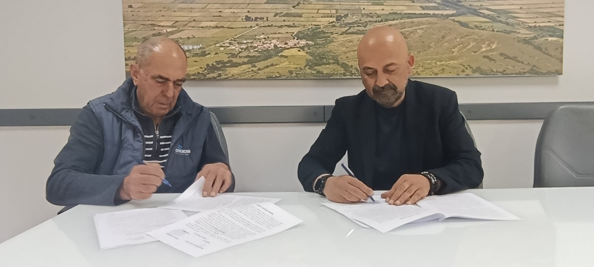 Εικόνα άρθρου