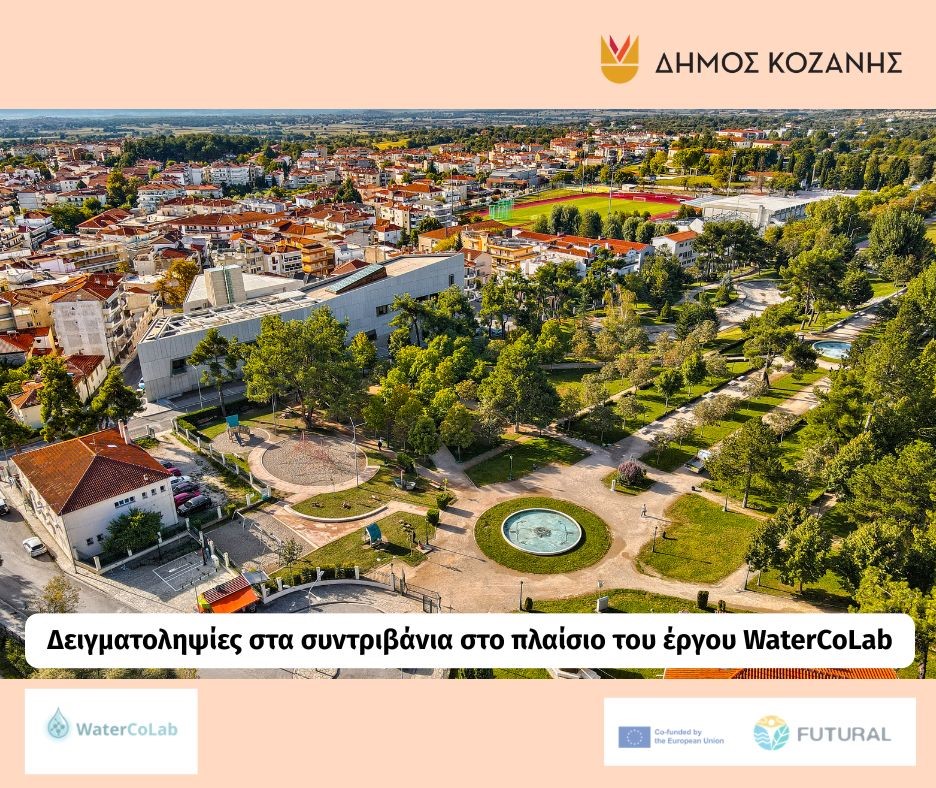 Εικόνα άρθρου