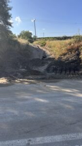 Εικόνα άρθρου