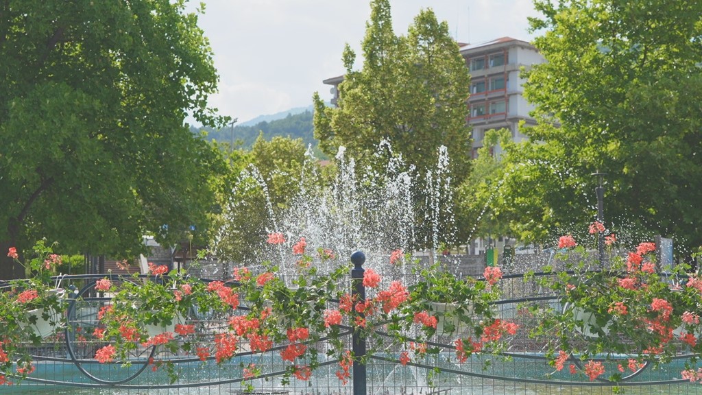 Florina Anthofyteyseis 2026 (1) (custom)