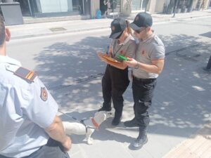 Εικόνα άρθρου
